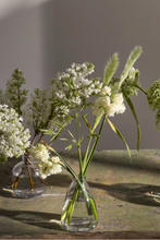 Load image into Gallery viewer, Chim Glass Budvase