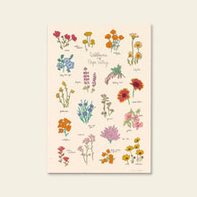 Load image into Gallery viewer, Hush Poppy Wildflowers of Napa Valley Art Print