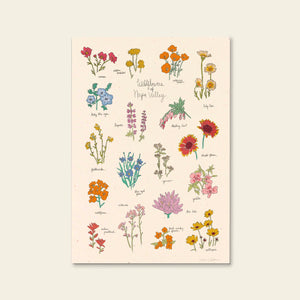 Hush Poppy Wildflowers of Napa Valley Art Print