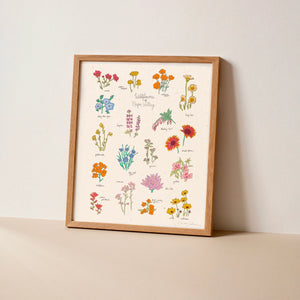 Hush Poppy Wildflowers of Napa Valley Art Print