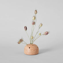 Load image into Gallery viewer, Terra Cotta Frog Vases