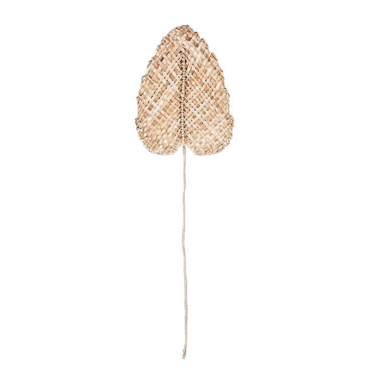 Banana Leaf Fan